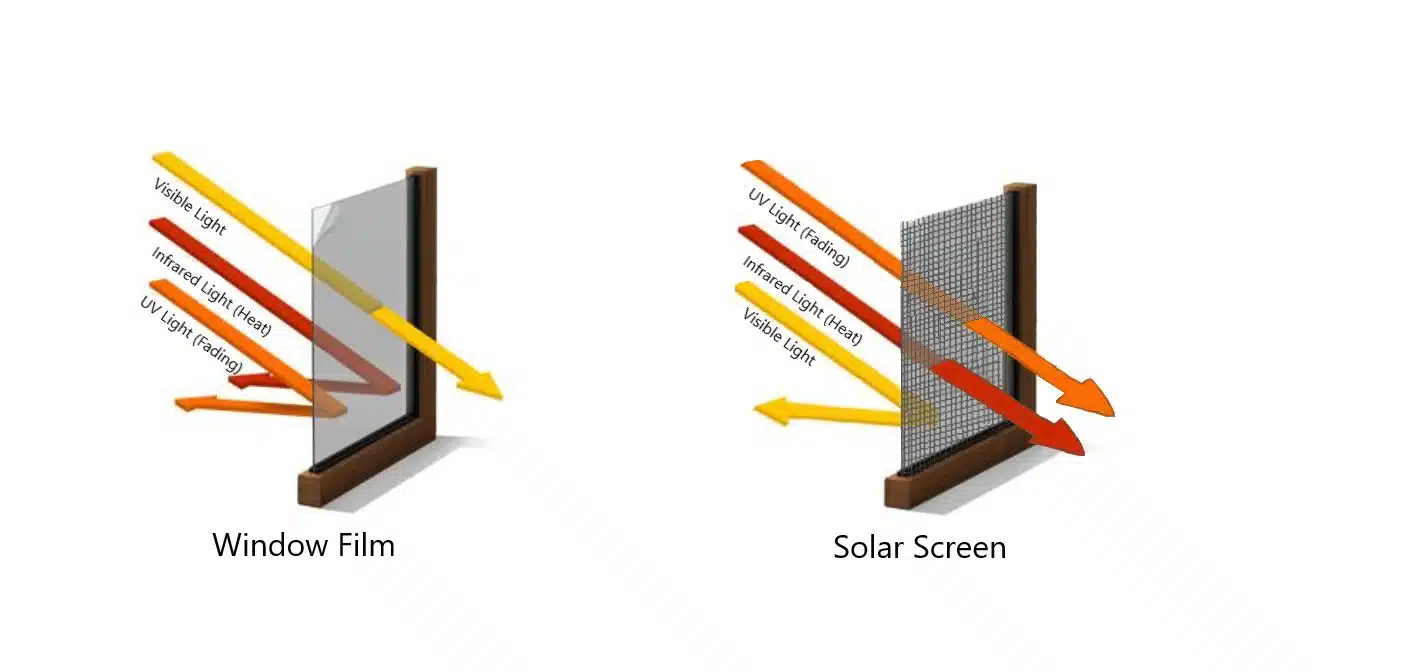 Home Window Tinting Versus Solar Screens