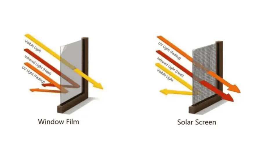 window tinting vs solar screen